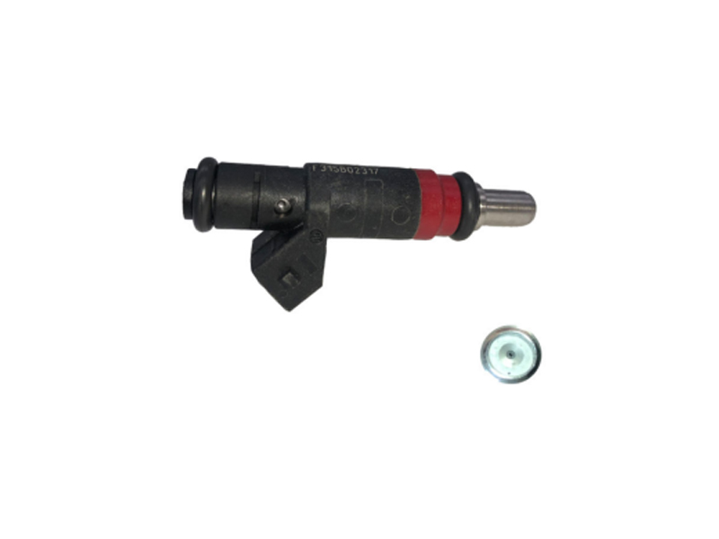 21150162D Bahan Bakar Injector Nozzle