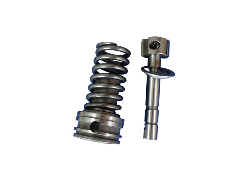 Plunger Diesel 2418455012