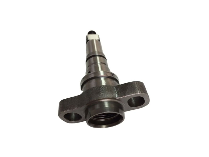 Plunger Diesel 2418455192